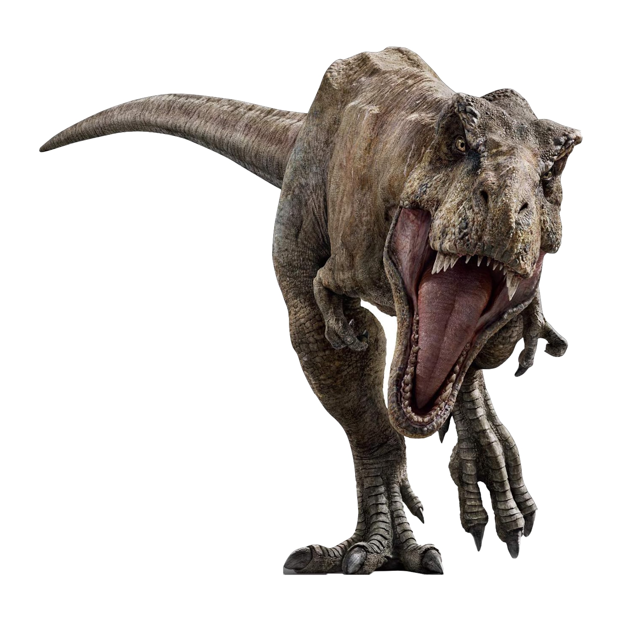T Rex Jurassic Park Dinozor Figürü Dekor Maketi Ayaklı  2 Boyutlu Tam Boy Plastik Maket